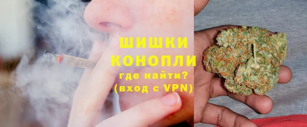 гидропоника Бородино