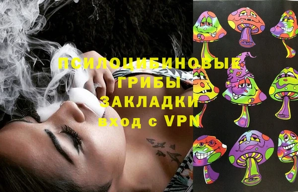 гидра Бронницы