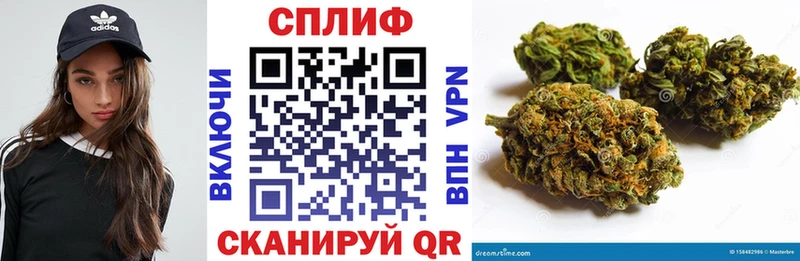 Каннабис OG Kush  Изобильный 